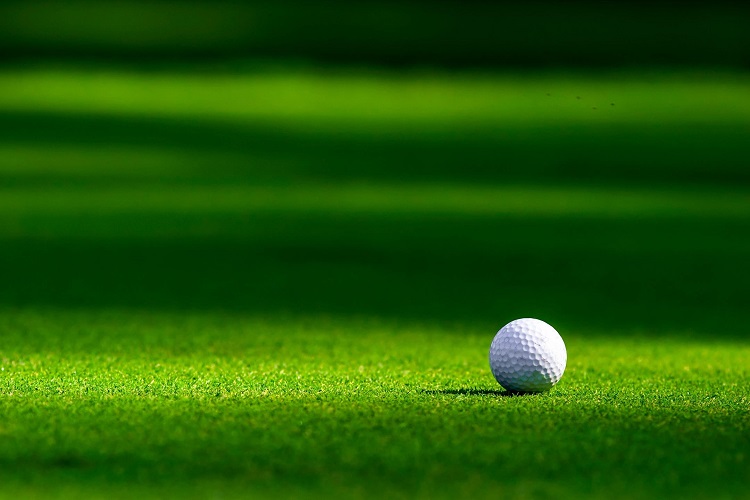 A golf ball resting on the putting green